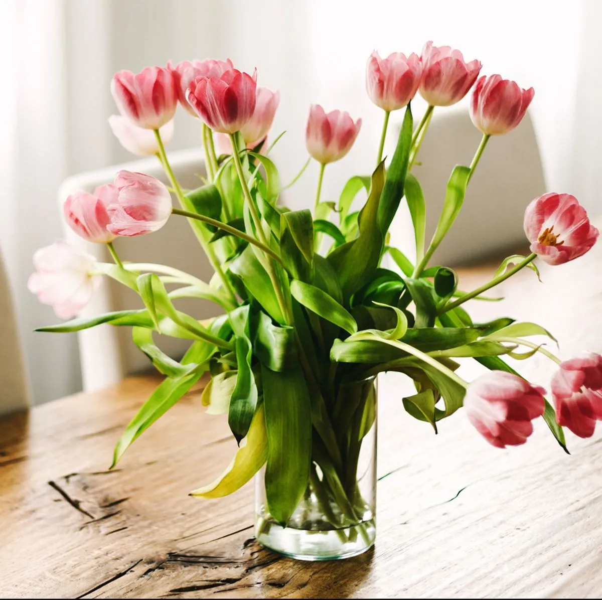 tulpen in der vase laenger haltbar machen ist sehr einfach