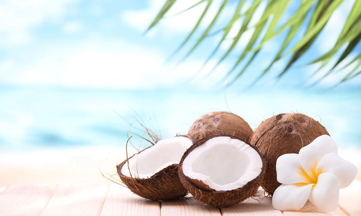 warum ist kokosoel gut fuer die haut