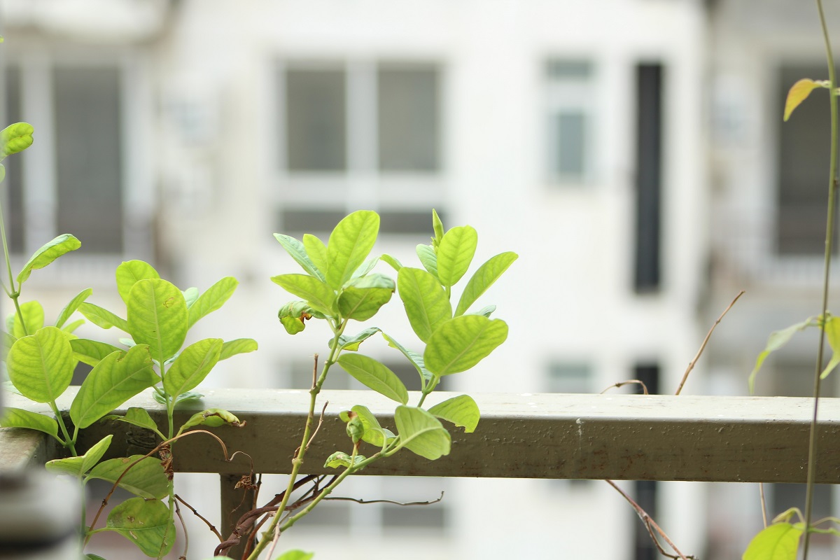 wertvolle tipps fuer mehr ordnung auf dem balkon