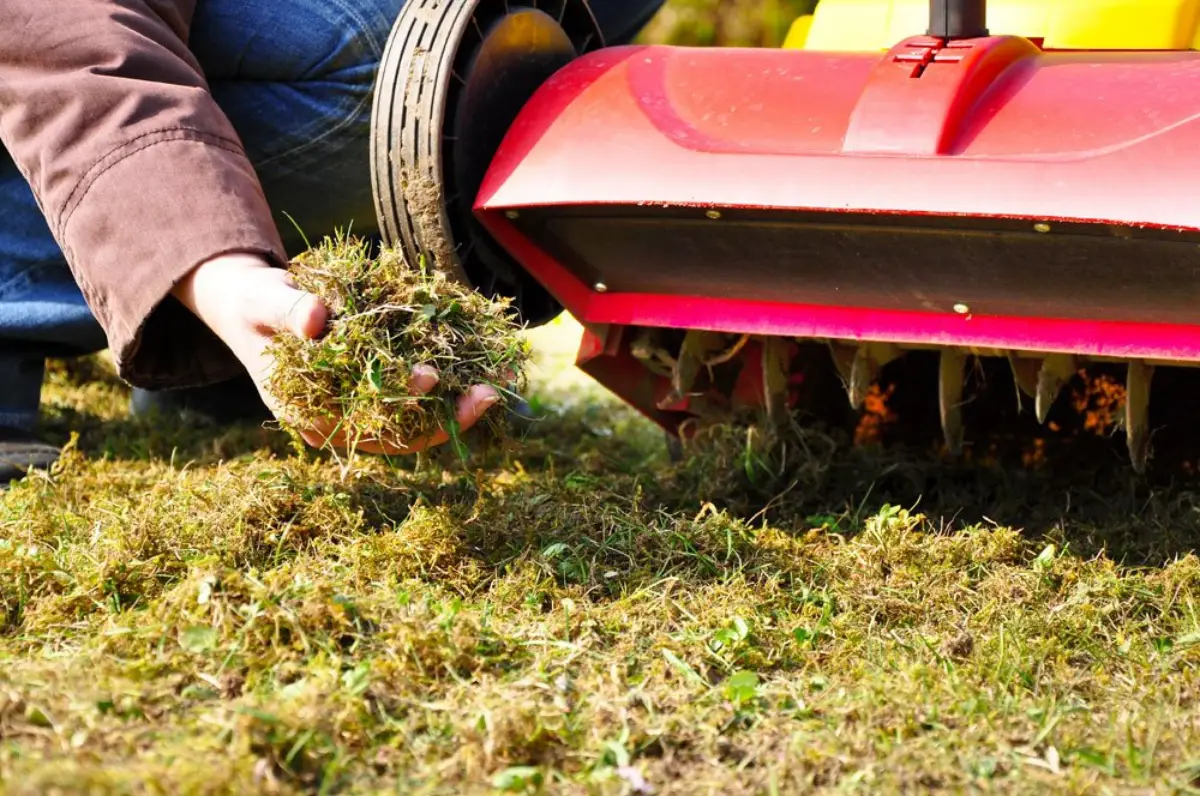 wie bekomme ich moos aus dem rasen ohne zu vertikutieren gras maehen moos entfernen