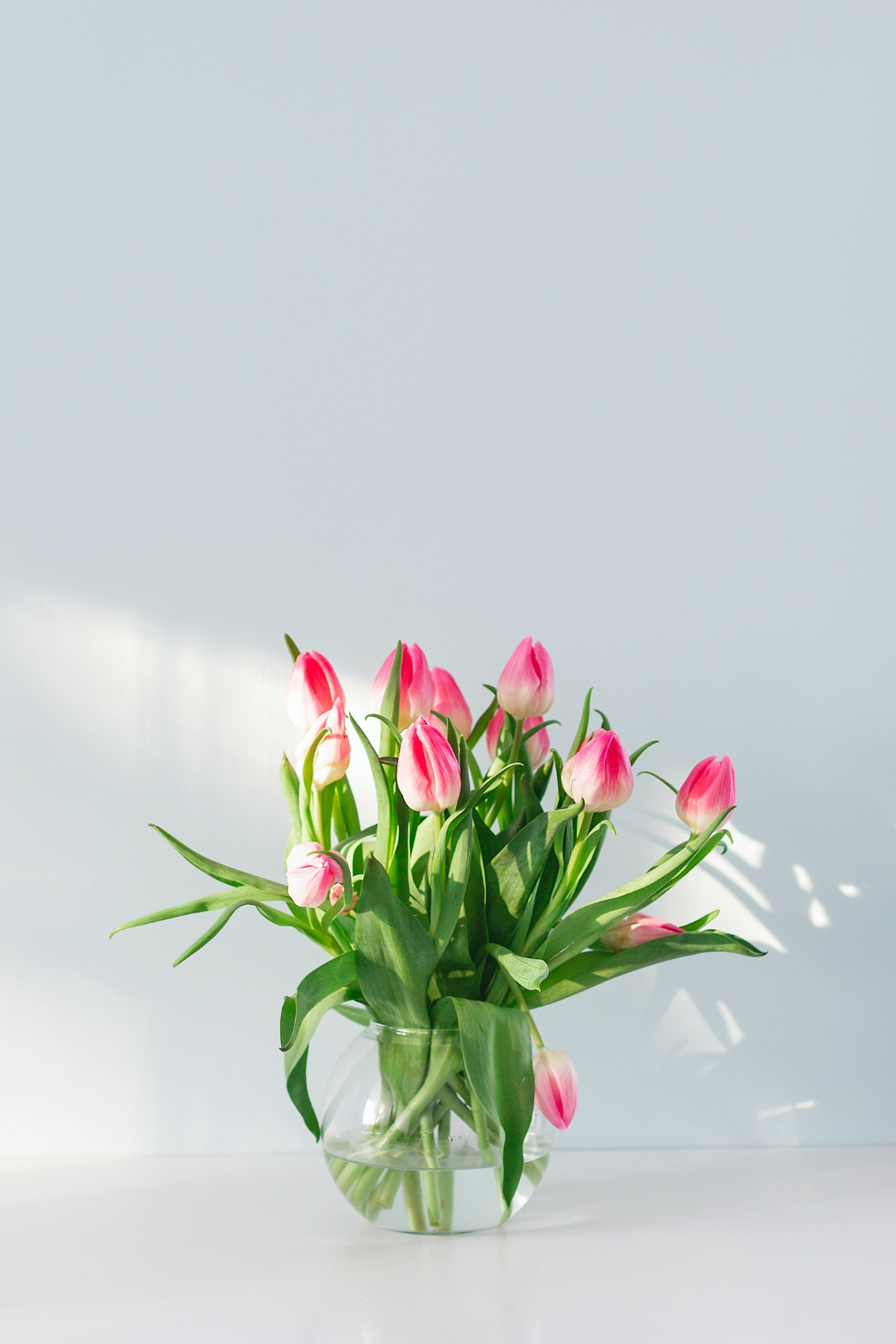 wie halten blumen in der vase laenger tulpen fruehling