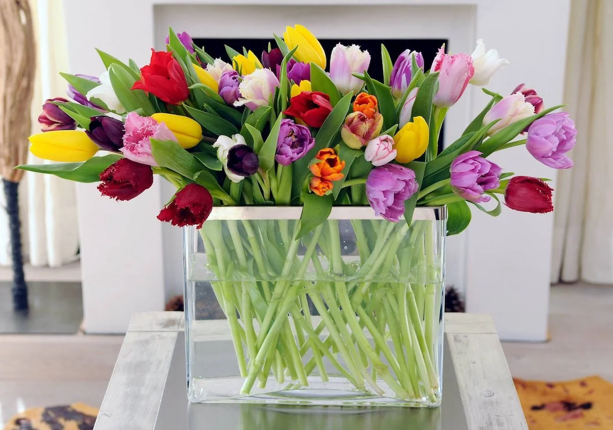 wie halten tulpen in der vase am besten