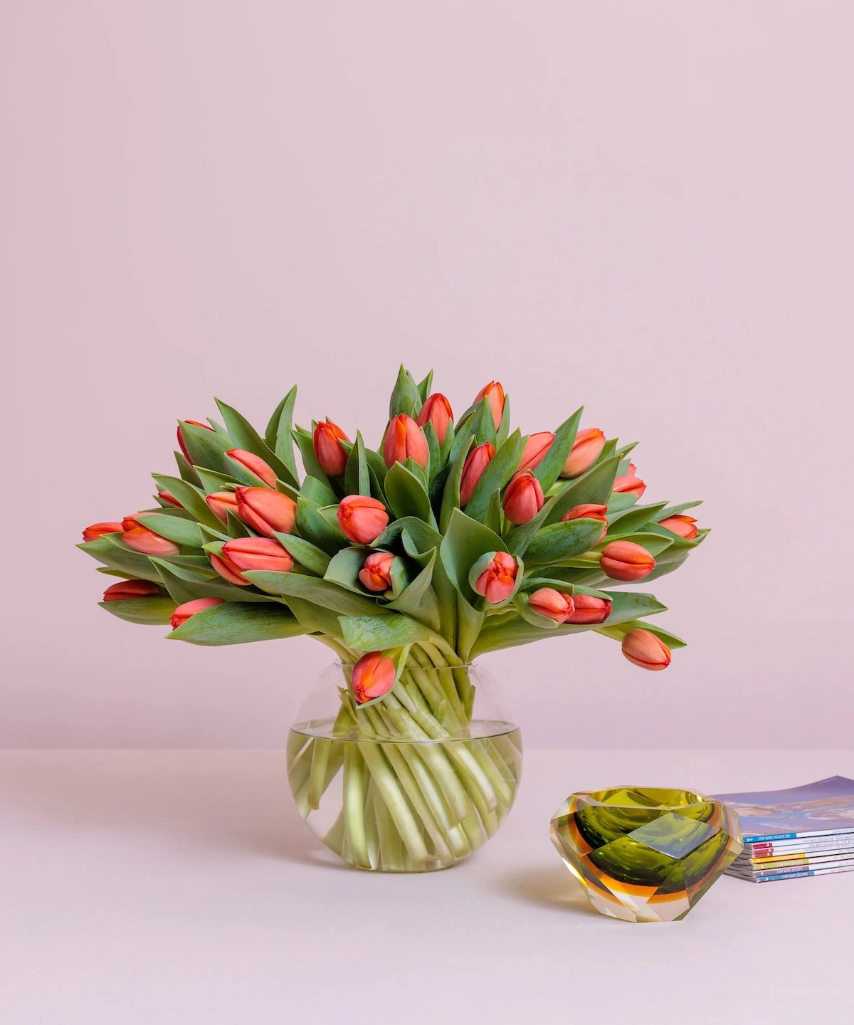 wie koennen sie tulpen in der vase laenger haltbar machen