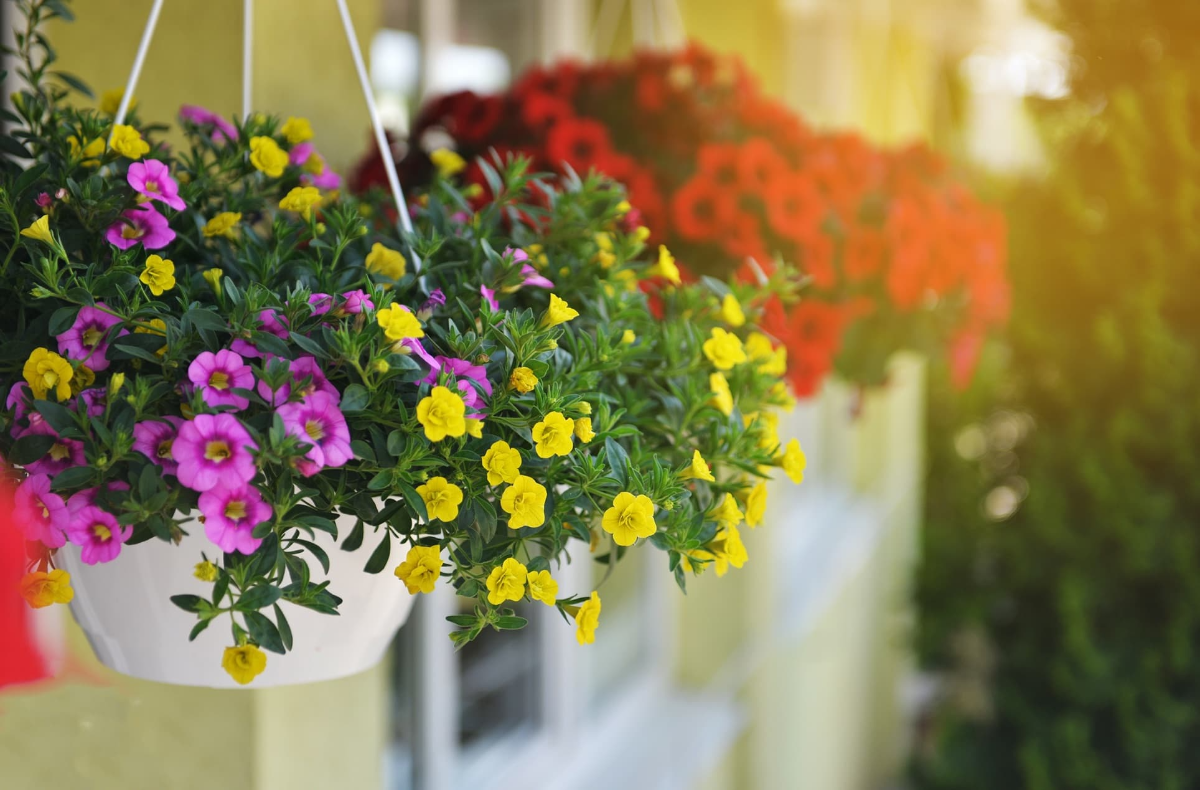 kleine vorgarten ideen mit hängenden körben mit bunten blumen