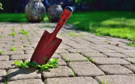 pflasterfugen mit natürlichen methoden von unkraut reinigen