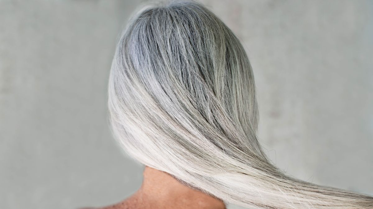 rückenfoto einer frau mit langen grauen haaren auf der suche nach dem besten shampoo