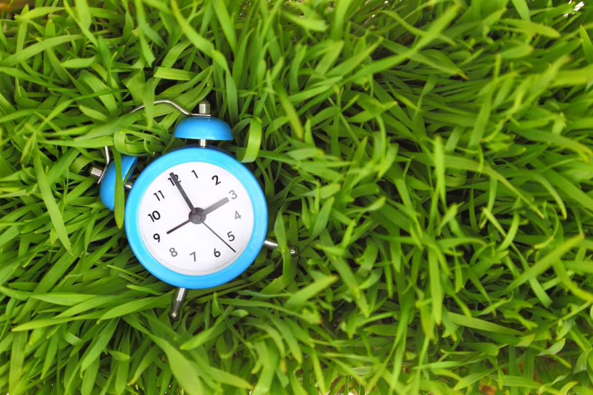 the best time to plant grass in pennsylvania