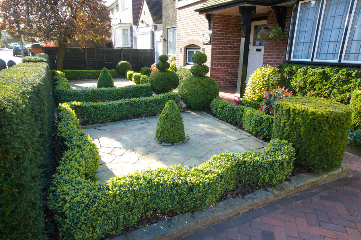 topiary in verschiedenen formen im vorgarten