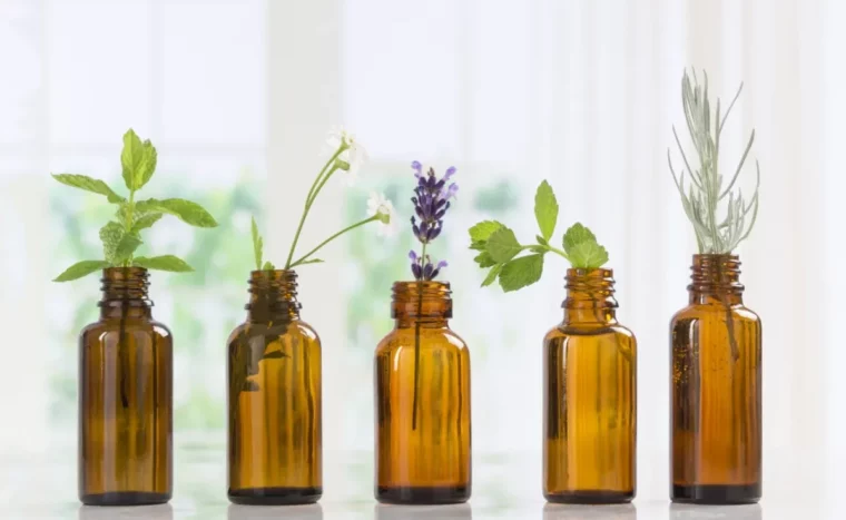 ätherische öle wie pfefferminze citronella und eukalyptus gegen zecken verwenden