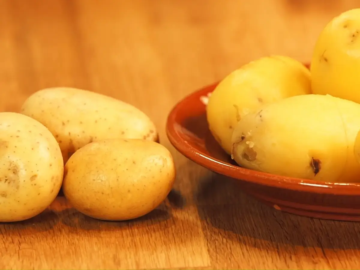 gekochte kartoffeln aufbewahren kartoffeln nach dem kochen schaelen