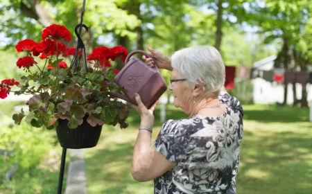 geranien pflegem was ist der beste duenger fuer geranien oma giesst haengende geranien