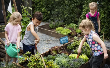 kinder pflanzen gemüse in hochbeet bewässern salat