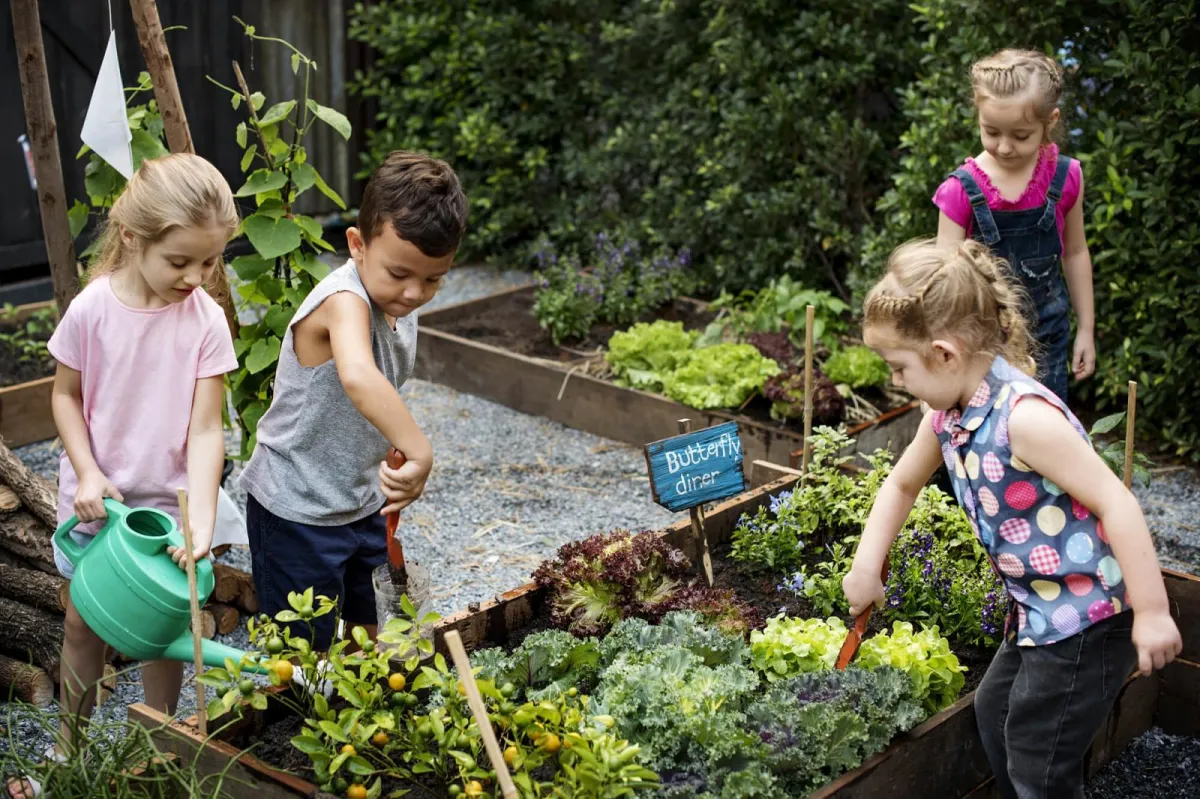 kinder pflanzen gemüse in hochbeet bewässern salat