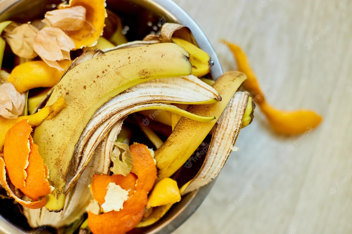 muell verrottende lebensmittel obst bananenschale obstschalen