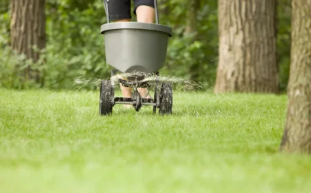 rasen dünger brauchen grüner wird flüssiger dünger