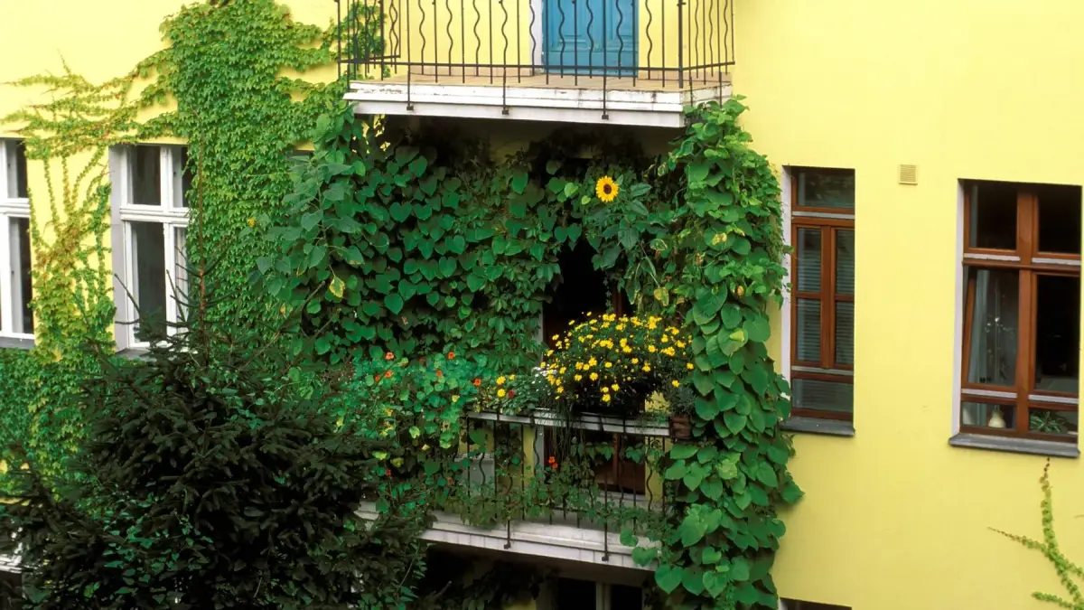 terrasse gemuetlich gestalten kleine terrasse mit sichtschutz aus efeu dicht