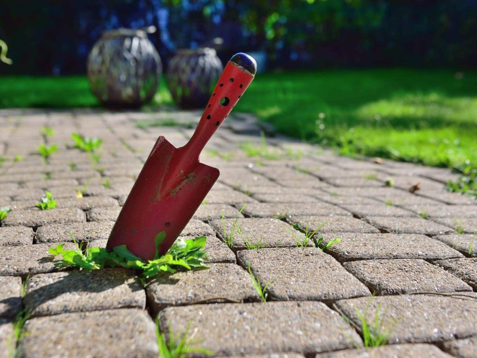 tools to remove weeds between pavers