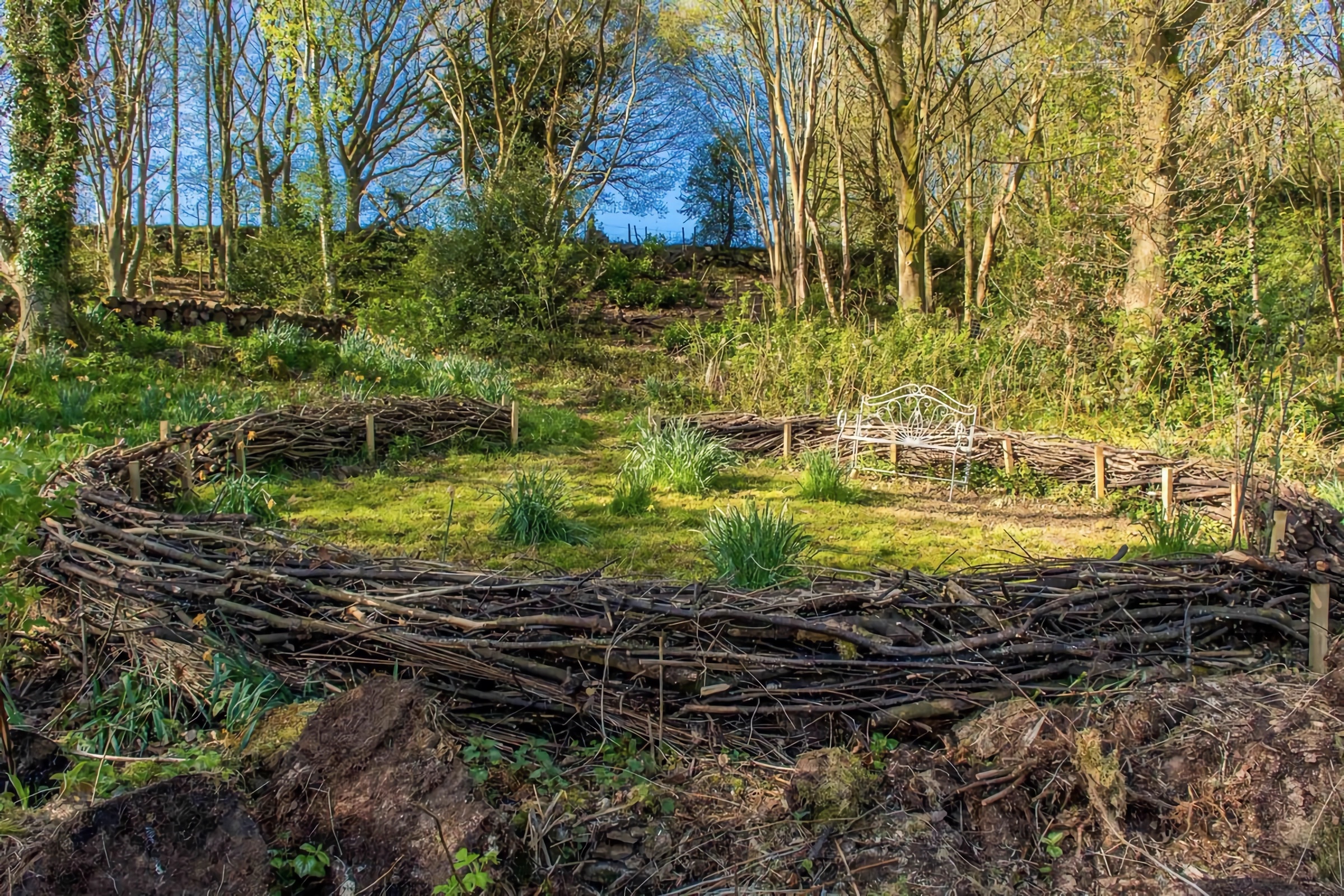 totholzhecke im garten vor und nachteile