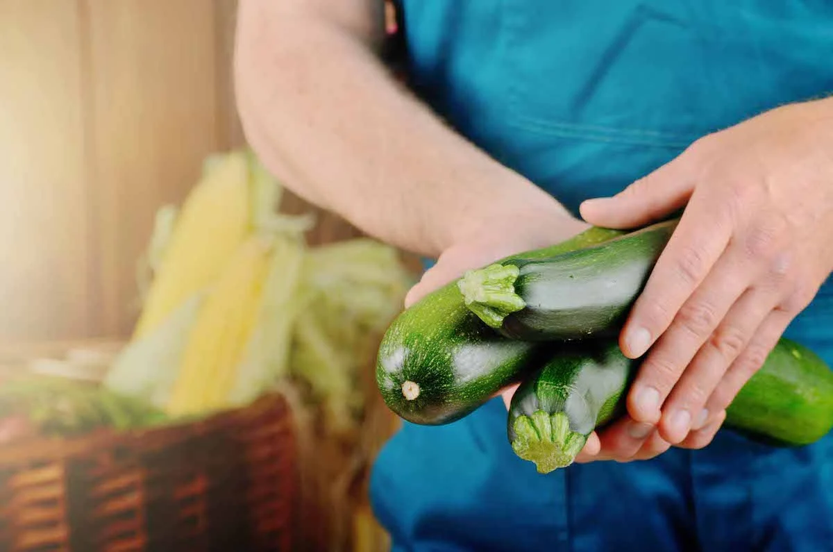 tricks gegen fehler beim zucchini anbau