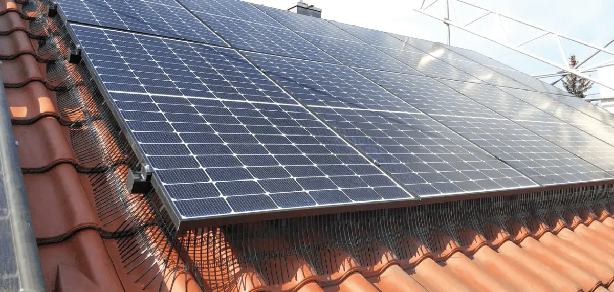voegel dauerhaft vertreiben birdblcoker dach mit solarmodulen mit birdblocker