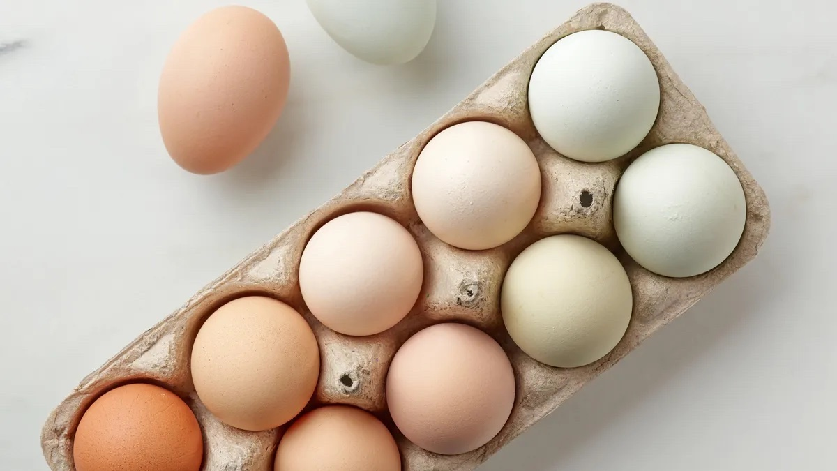 warum sie gefaerbte eier lieber nicht kaufen sollten
