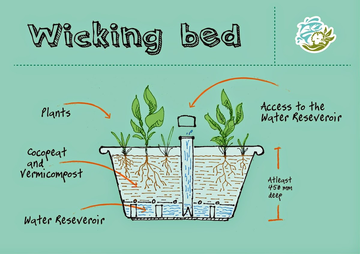 wicking bed sketch 01