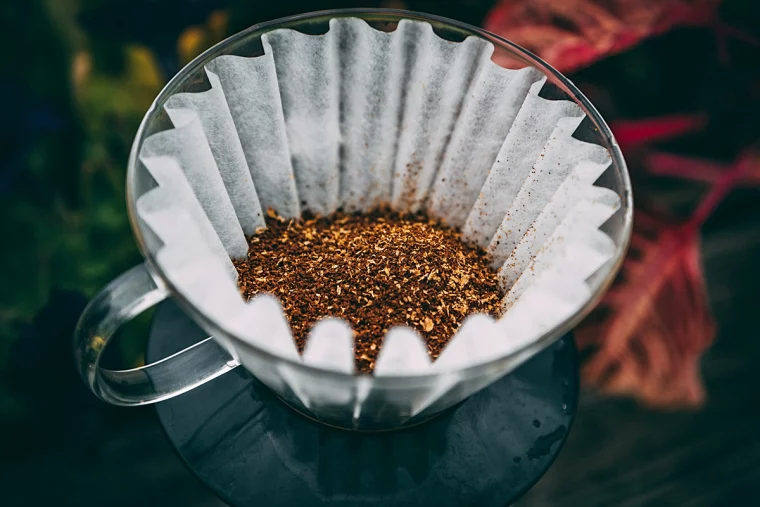 zitronenbaum duengen mit kaffeesatz glas filter kaffeefilter