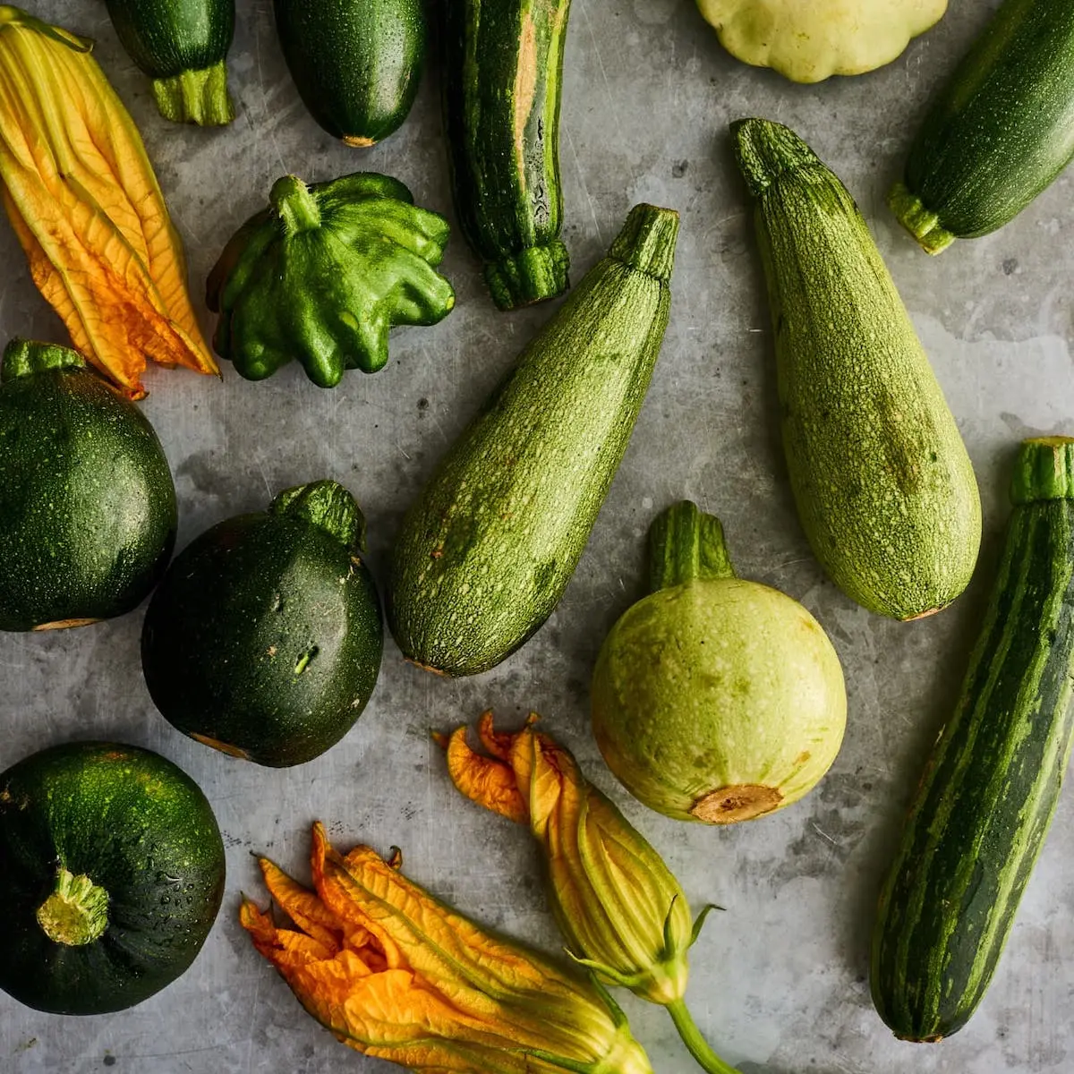 zucchini ernte 2023 tipps fuer eine gigantische zucchiniernte