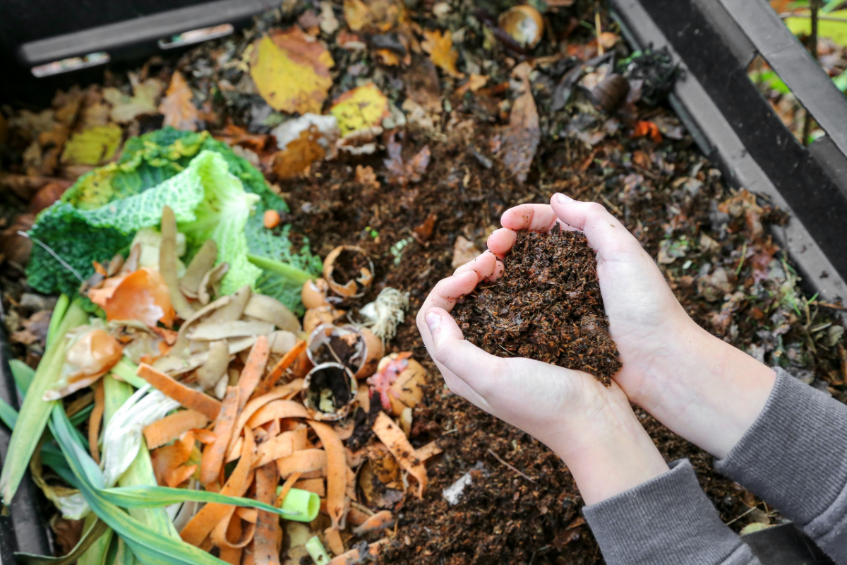 natürlicher dünger für gurken aus kompost von lebensmittelabfällen