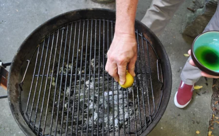 bbq grill reinigen mit zitrone und salzkristalle