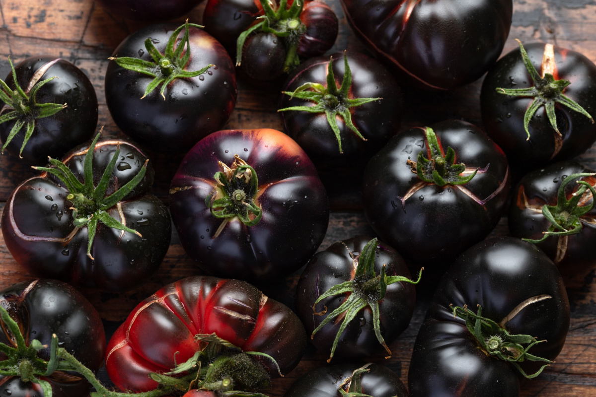 eine menge reifer schwarzer tomaten auf einem hölzernen schneidebrett