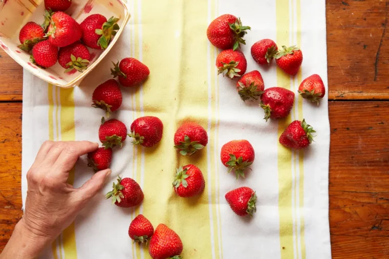 erdbeere richtig lagern frische erdbeeren auf tuch trocknen
