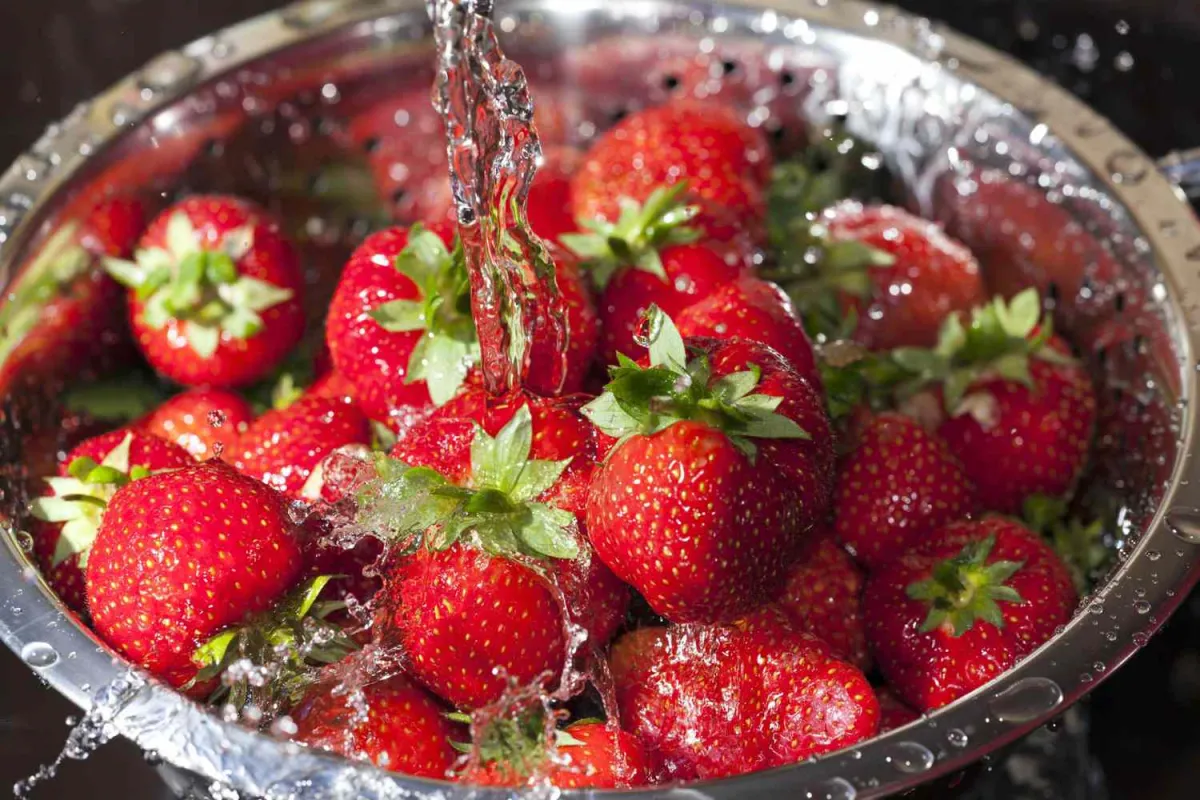 erdbeeren waschen nur kurz vor dem verzehr damit nicht verderben