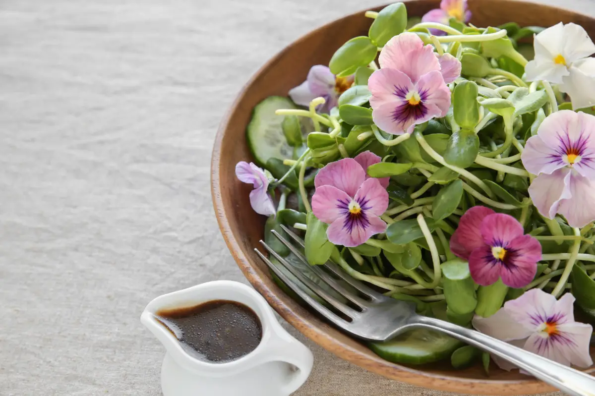 essbare blueten frisch anpflanzen salat mit frischen veilchen blueten