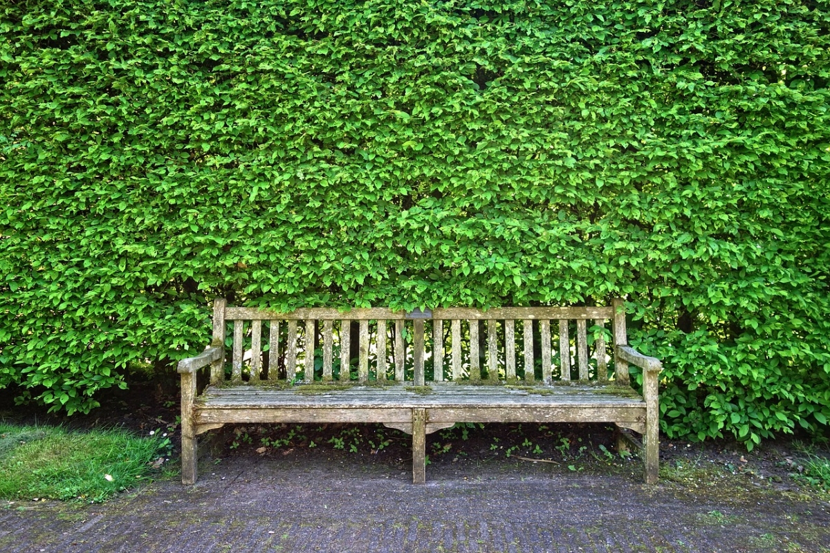 flechten von gartenmoebeln entfernen altes gartenbank