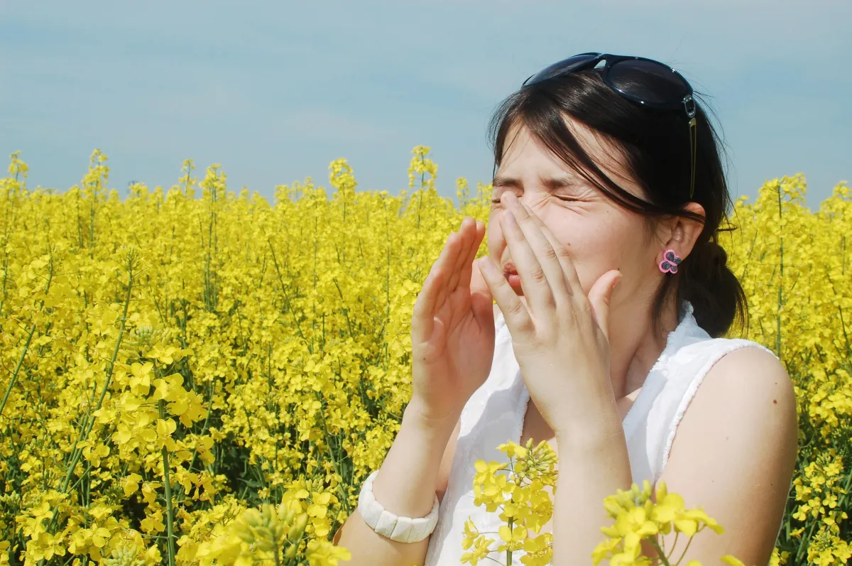 frühling alles blüht frau allergischer schnupfen niesen