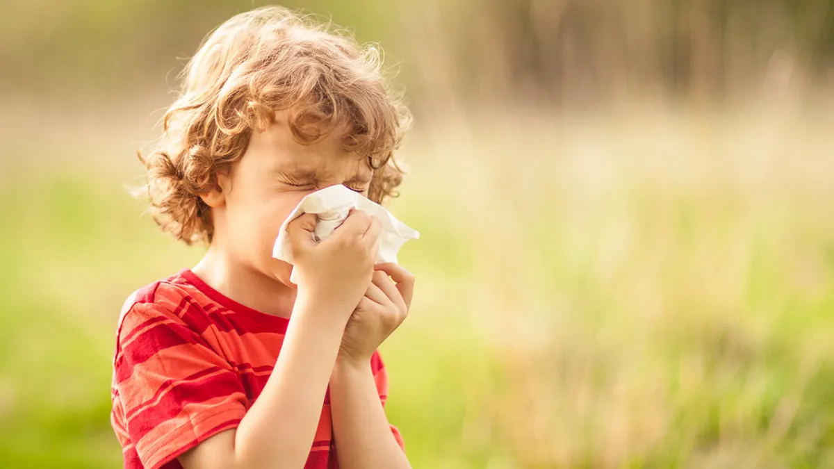 heuschnupfen allergischer schnupfen unkontrollierbares niesen