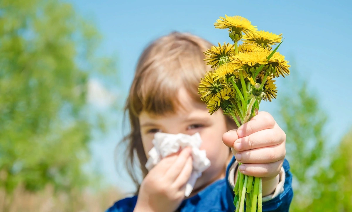 in welchen monaten ist pollenallergie am schlimmsten