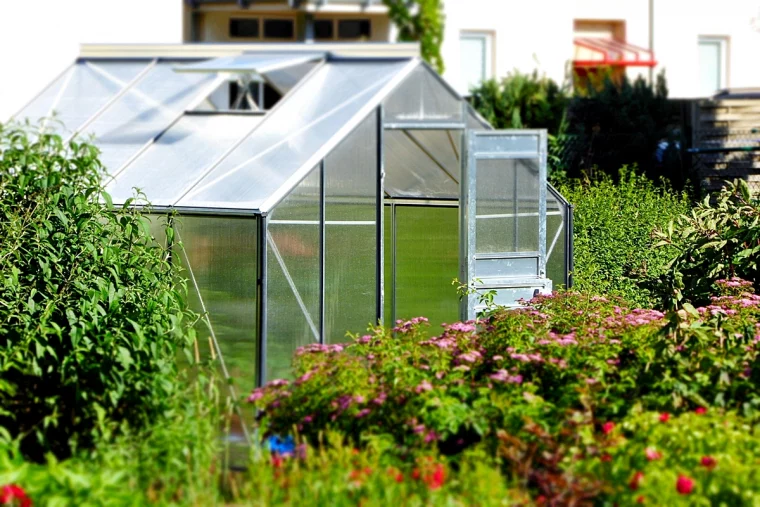 jungpflanzen im gewaechshaus abhaerten gartenhaus