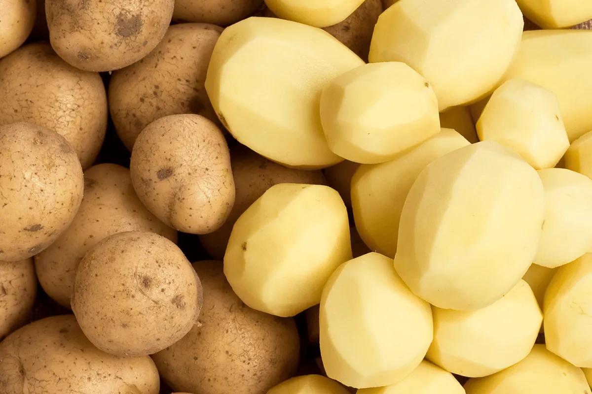 keimende kartoffeln verhindern frisch und lecker bleiben