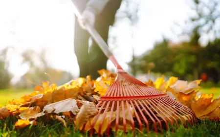 laub entfernen im garten mit harke vorteile nachteile