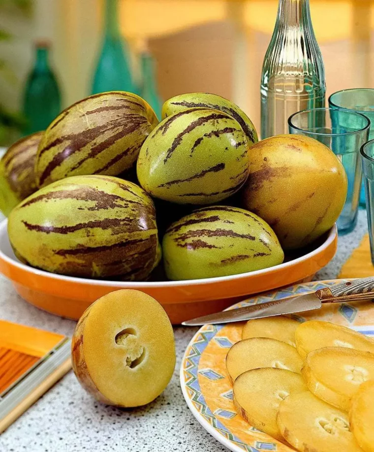 melonenartige fruechte ist eine melonenbirne winterhart schuessel mit gruenen birnenmelonen
