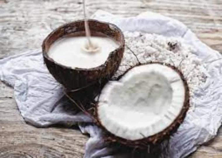 milchalternative die nach milch schmeckt kokosnuss schaele mit kokosmilch fuellen