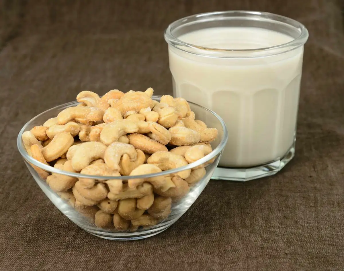 milchalternative die wie milch schmeckt schuessel frische cashew nuesse tasse milch