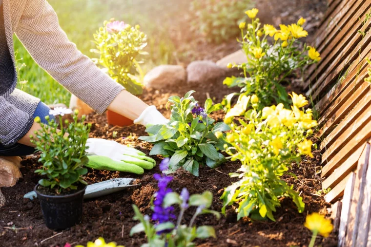 tipps folie gegen unkraut im garten