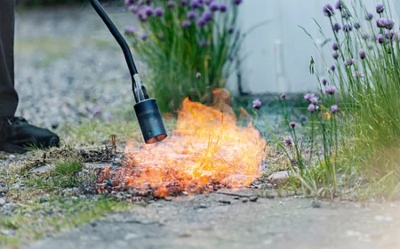 unkraut entfernen mit flammenwerfer