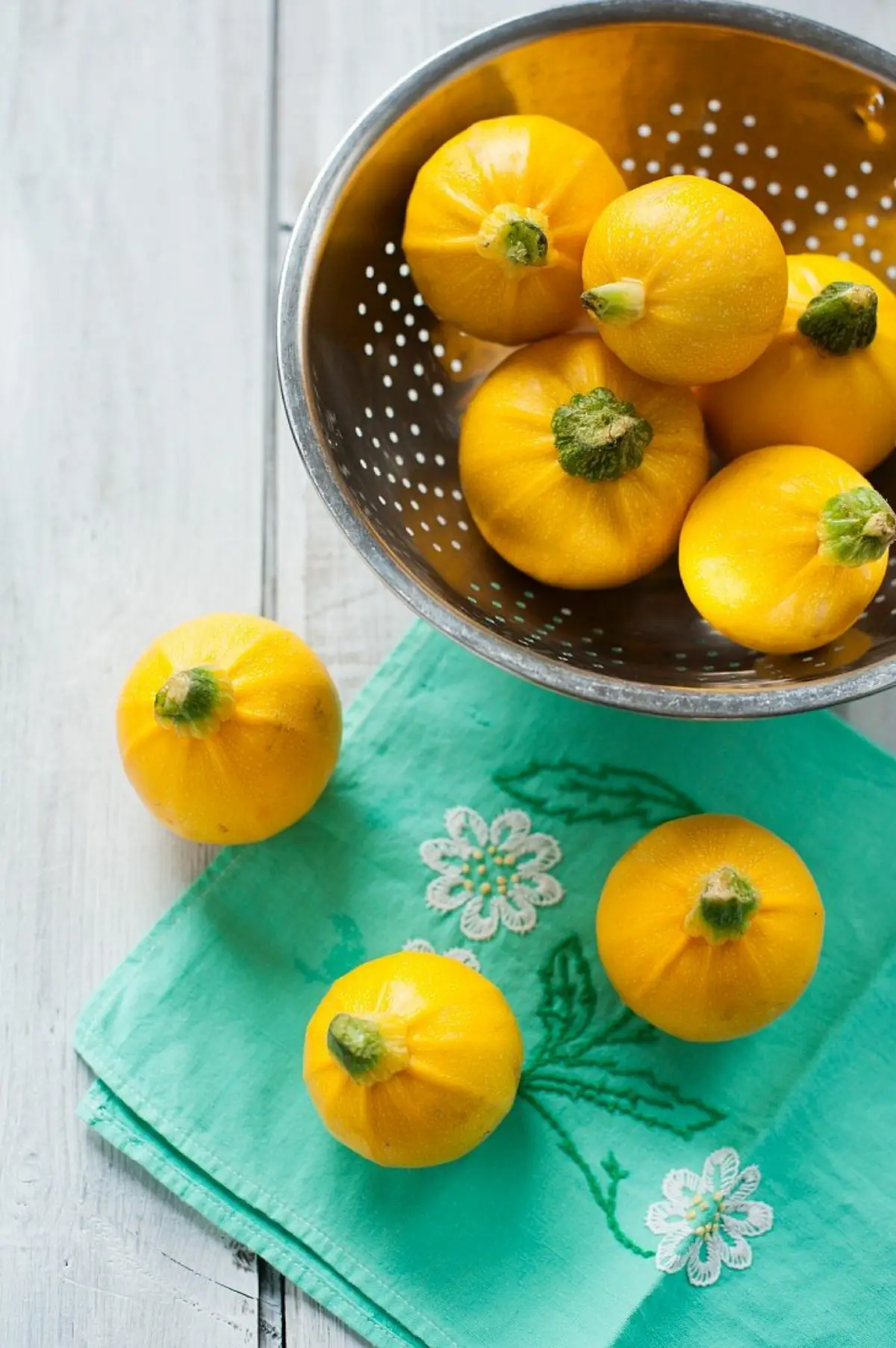 wann sind runde gelbe zucchini reif gelbe zucchini rund auf pflanz bereit zu ernten