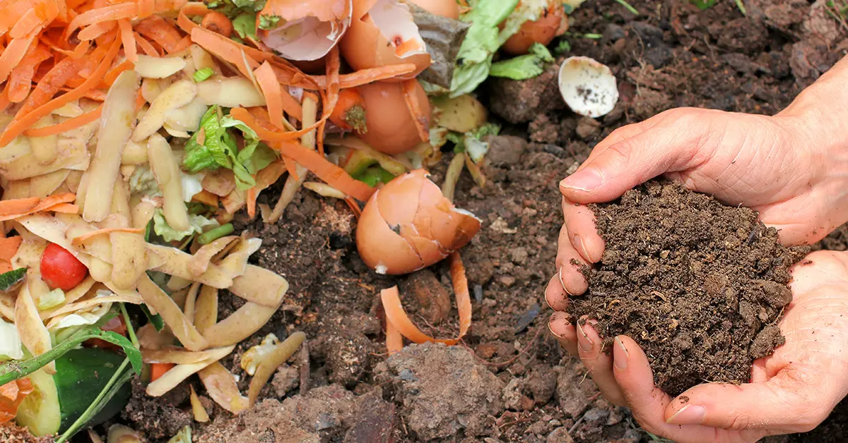 was ist kompostieren wozu dient kompost im garten