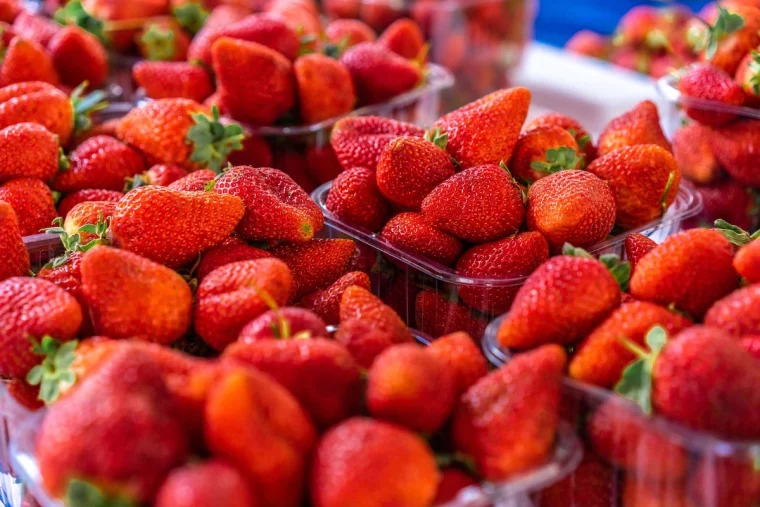wie kann man erdbeeren ernten