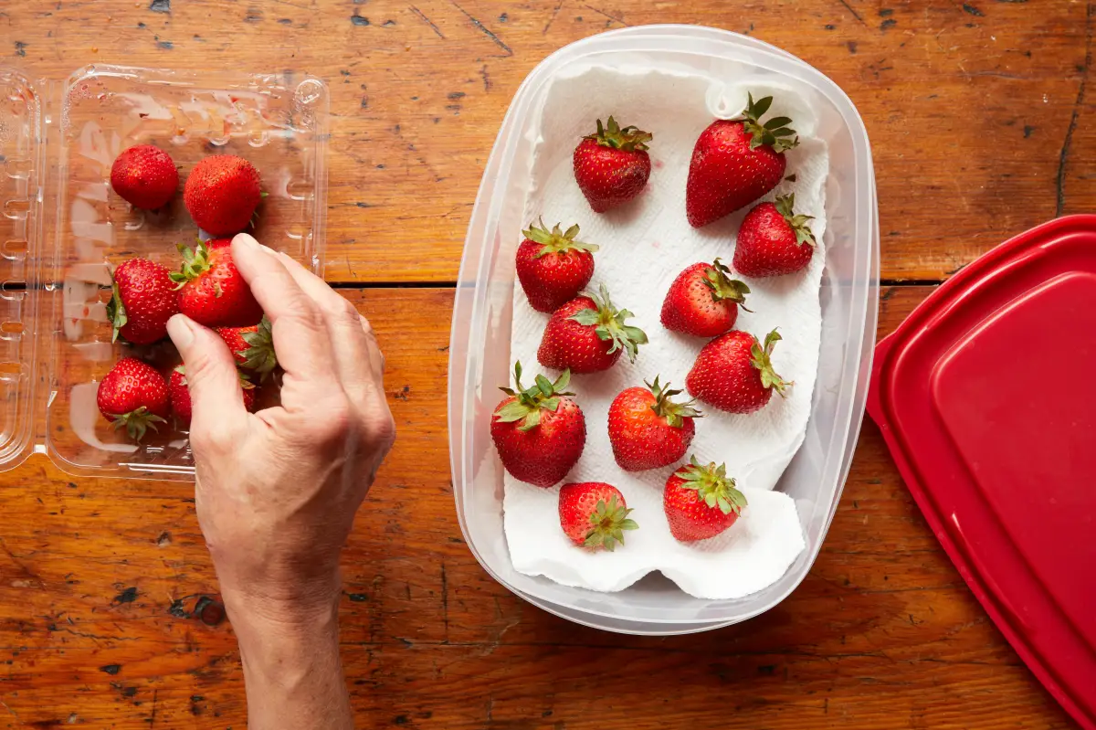 wie lange muessen erdbeeren trocknen erdbeeren in schachtel mit papier bedeckt